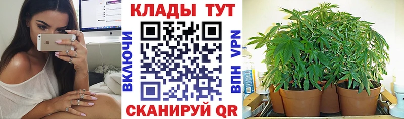 Виды наркоты Будённовск Cocaine Метамфетамин СОЛЬ mega ссылки НБОМе Мефедрон Гашиш Марихуана