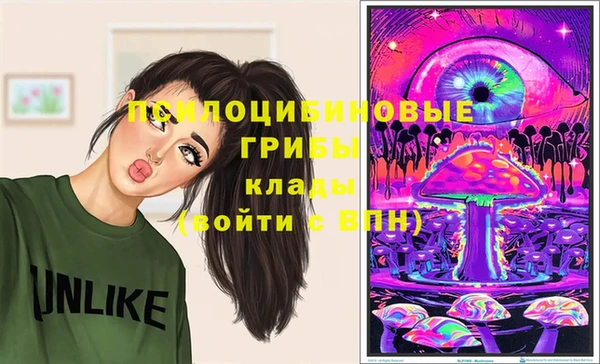 гидра Богданович