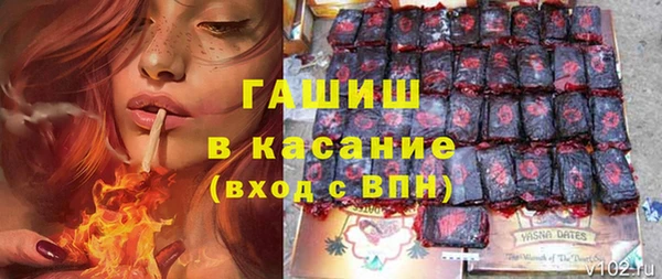 гидра Богданович