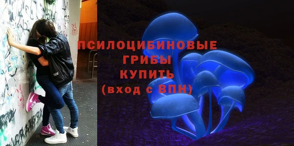гашиш Богородск
