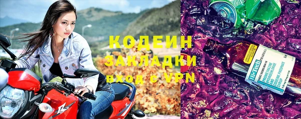 гидра Богданович
