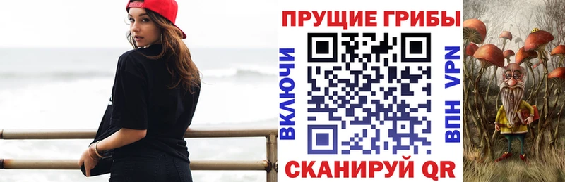 omg рабочий сайт  Будённовск  Псилоцибиновые грибы MAGIC MUSHROOMS 