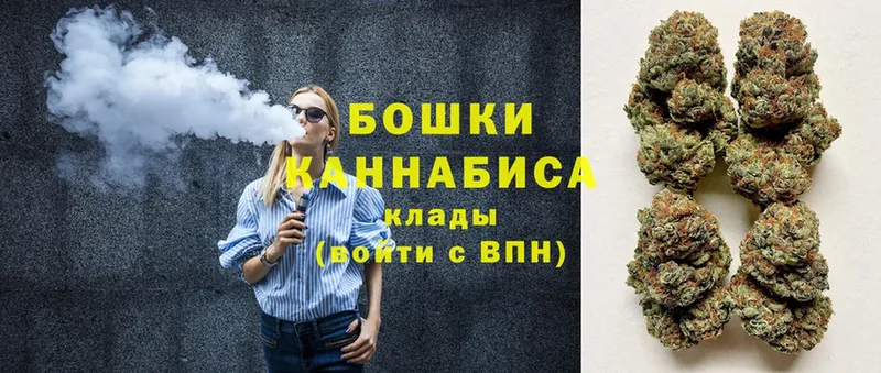 Каннабис White Widow  Будённовск 